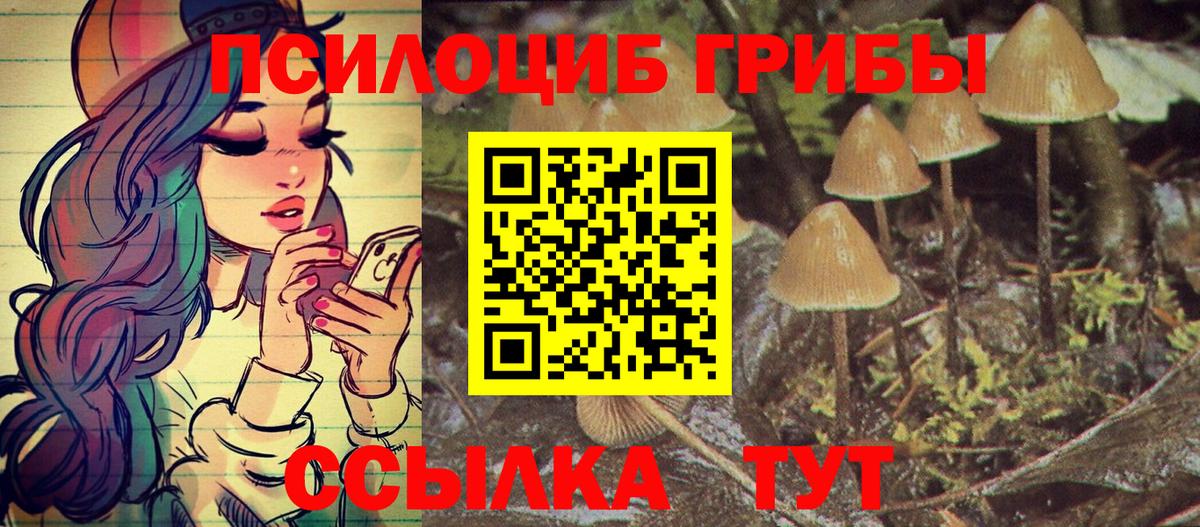 цены наркотик  Вход с VPN  Псилоцибиновые грибы Magic Shrooms  Красногорск  Галлюциногенные грибы прущие грибы 