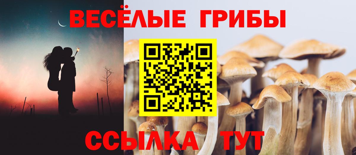 Галлюциногенные грибы мухоморы Красногорск